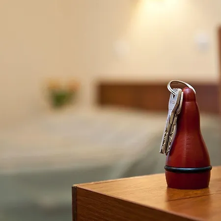 מלון Aneks Kazimierz קרקוב