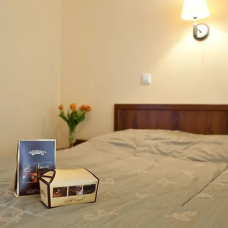 阿奈克斯卡兹米尔兹酒店