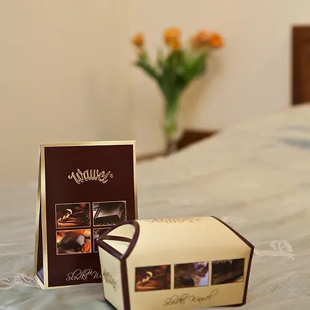 מלון Aneks Kazimierz קרקוב